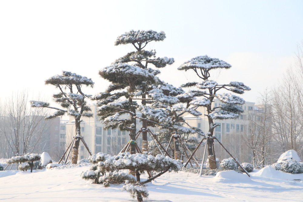 "山东邂逅美"摄影大赛