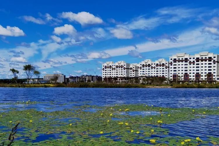 城中生态园_腾讯新闻