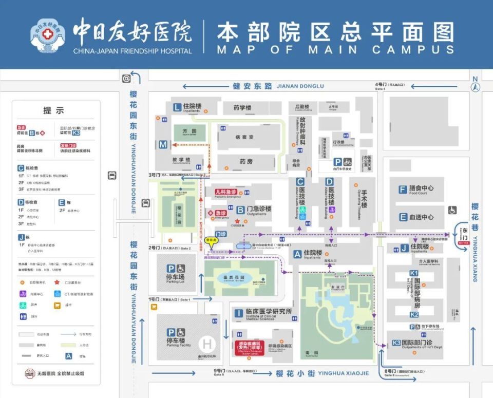 中日友好医院全天陪诊含挂号让就医更轻松，中日友好医院全天陪诊含挂号让就医更轻松吗