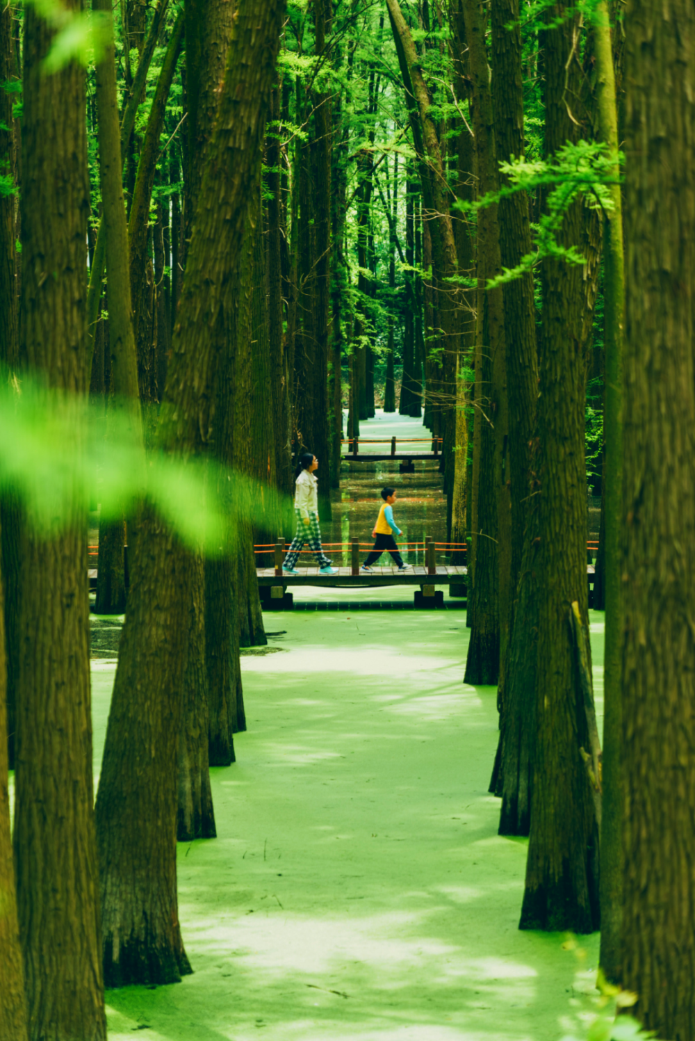 摄/吕琪摄/赖赖天气渐热来"翡翠湖"一游也是不错的选择听流水潺潺,看