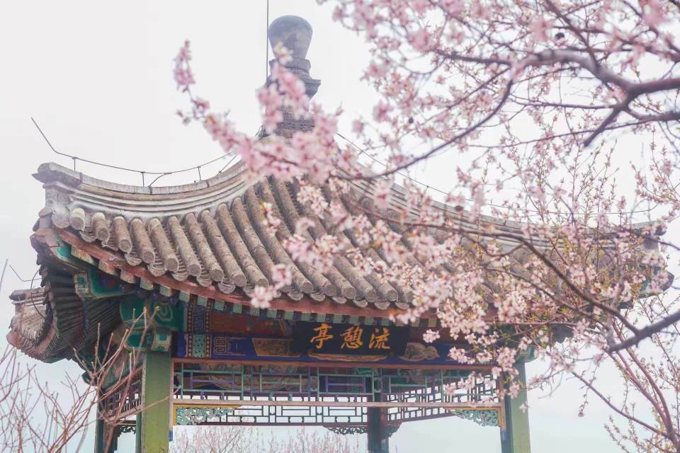 香山公园春季游园会开启