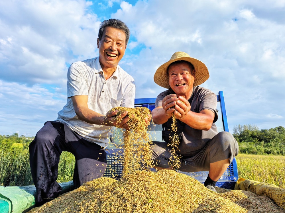 丰收的喜悦