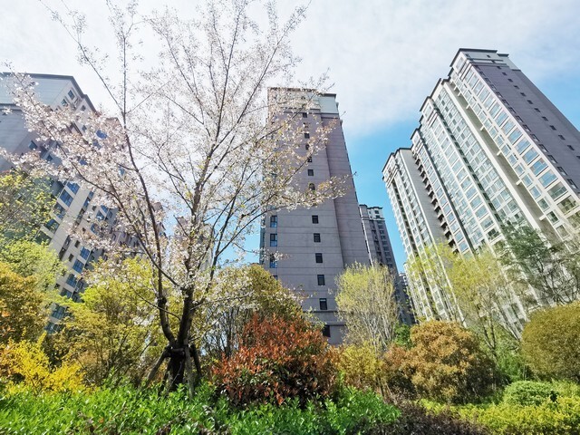 再过3个月，若不出意外，一线城市房价将迎来4大转变_腾讯新闻