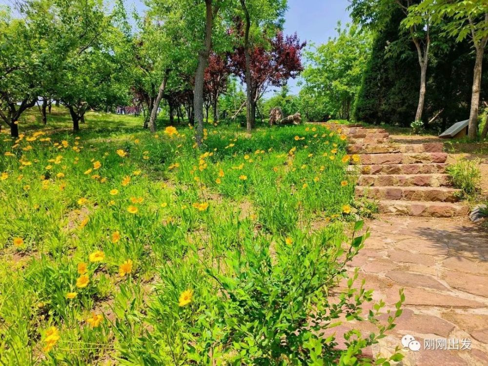 初夏大連看花最好的免費公園董家溝植物園