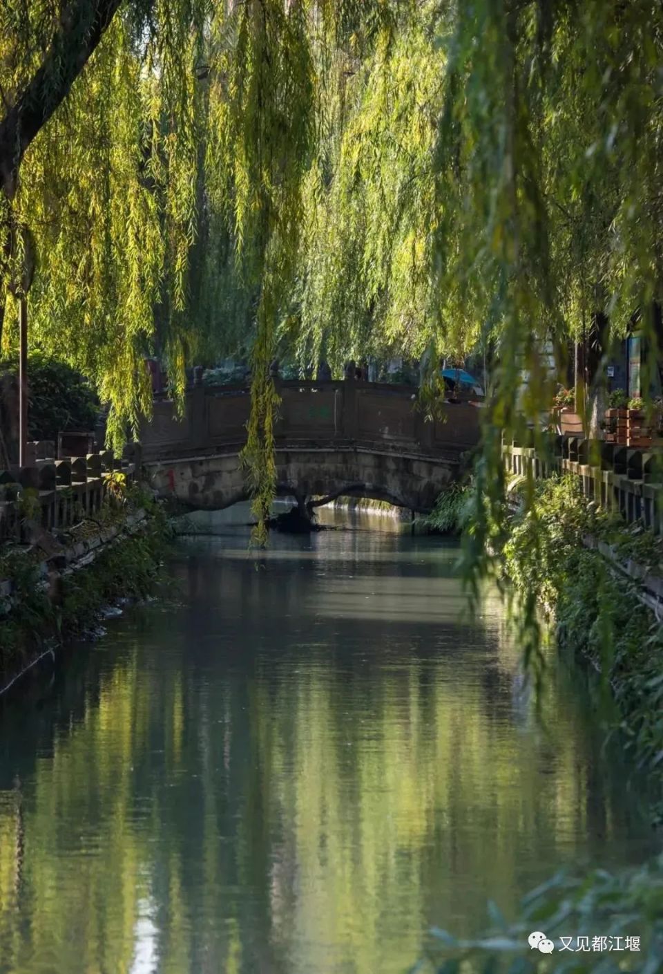 夏日晚风,古堰街头.邀你一起在都江堰老街转角遇见爱与幸福