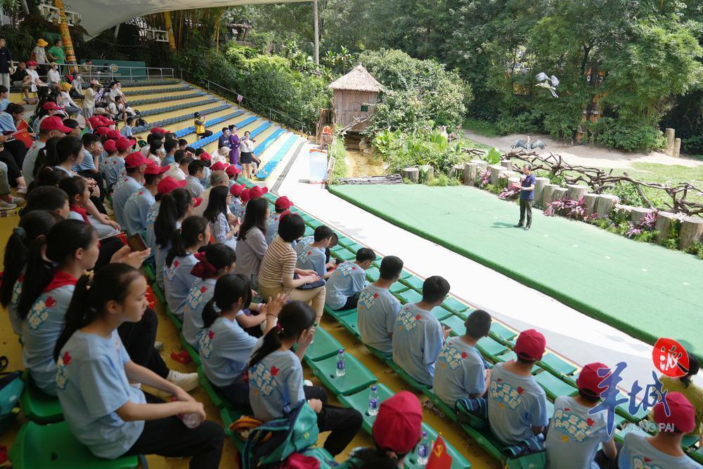 百名革命老区孩子在广州番禺开启研学体验之旅_腾讯新闻