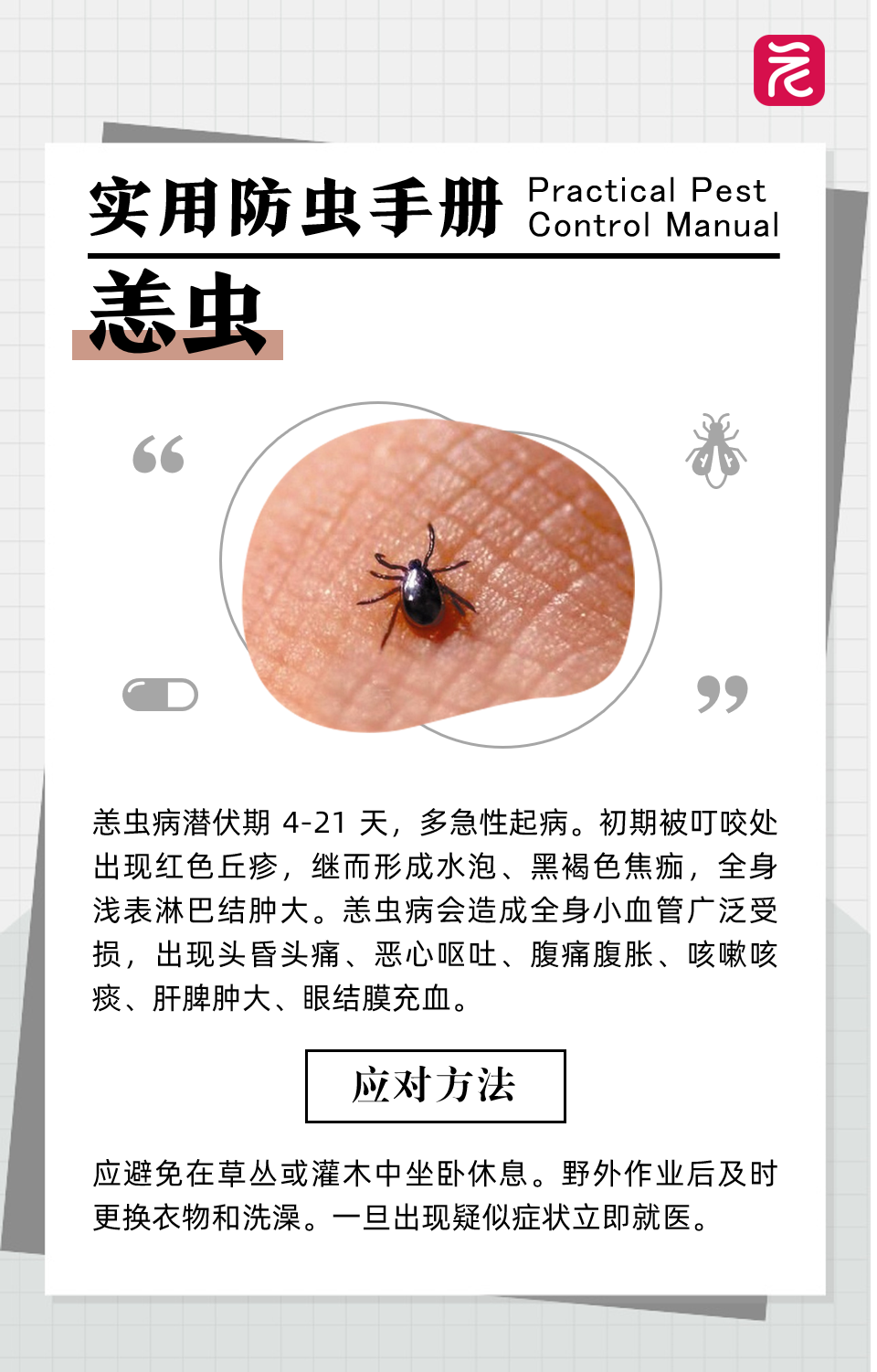 多种疾病蚊虫密度也将不断上升随着气温逐渐升高