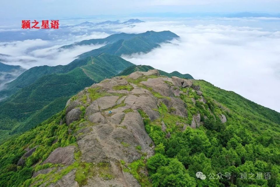 宁海为什么广泛祭祀羊祜?东海云顶隐秘的羊府宝洞,见过吗?_腾讯新闻