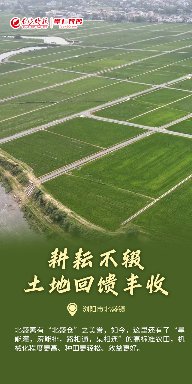 海报丨这些奇迹，让我们相信土地的力量-腾讯新闻