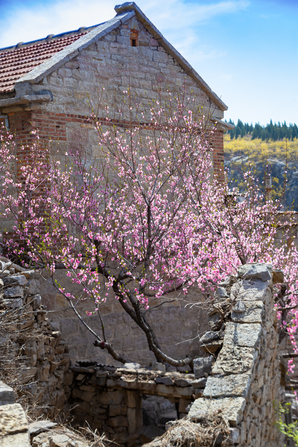 山东好景丨"悬崖上的村庄"让人流连_腾讯新闻