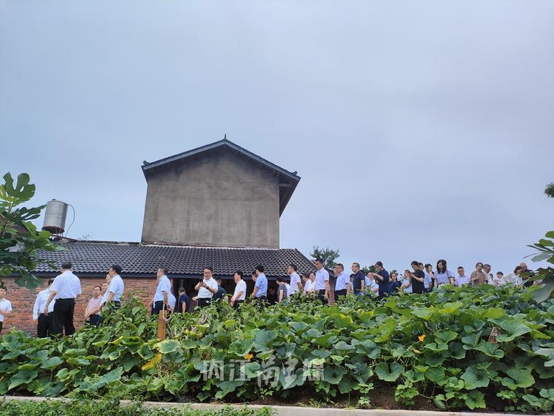 实地观摩内江深入学习运用千万工程经验,大力实施农村面貌改善行动