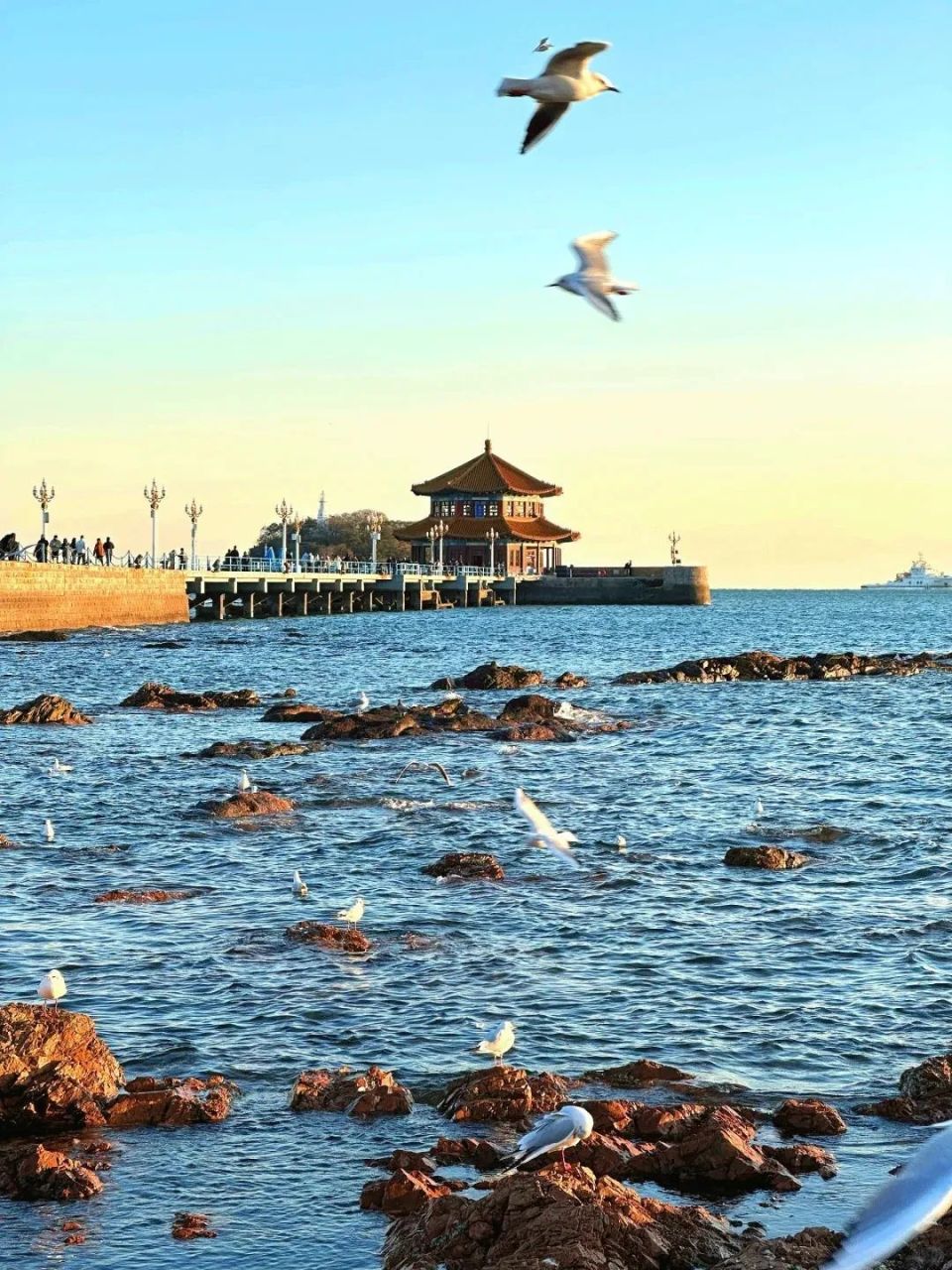 满洲里=呼和浩特=青岛航线7月1日起执行,班期每周二,四,六,一条航线