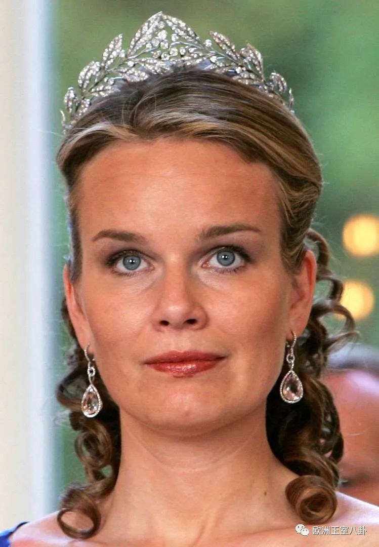 他们的十年比利时国王菲利普王后玛蒂尔德