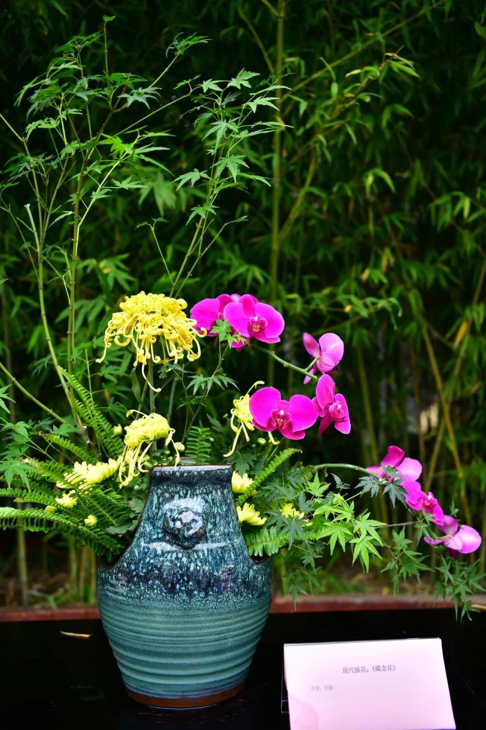 成渝cp你磕到了吗?-腾讯新闻