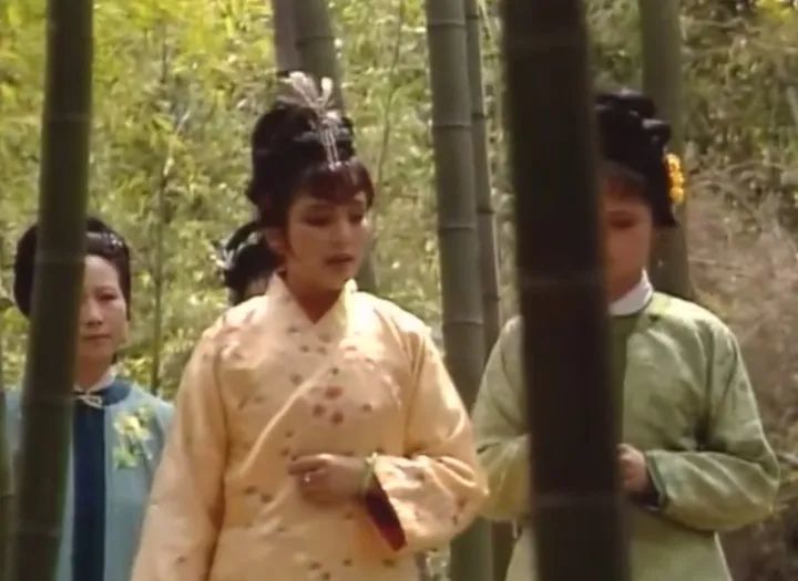 原班人马重聚，87版红楼梦35周年纪念音乐会下周登陆杭州大剧院！你知道这部经典电视剧“打卡”过杭州这些地方吗？(红楼梦30年音乐会没参加的演员是谁)