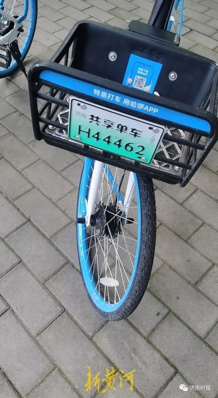 济南街头,市民发现新"绿牌"_腾讯新闻