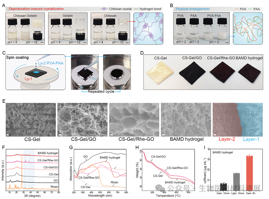 医用抗菌水凝胶怎么用《AFM》湖北大学吴水林／河工大刘想梅： 多模式消毒功能的强粘附Janus水凝胶，用于多重耐药金葡球菌感染的开放性伤口快速修复_https://www.jmylbn.com_新闻资讯_第3张