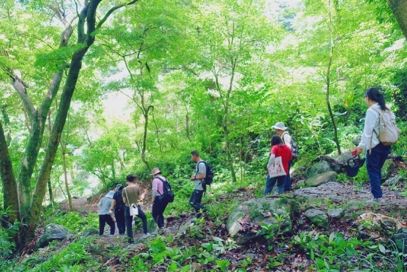 自然野趣體驗加倍龍崗區靜遠營地翠微驛站啟用