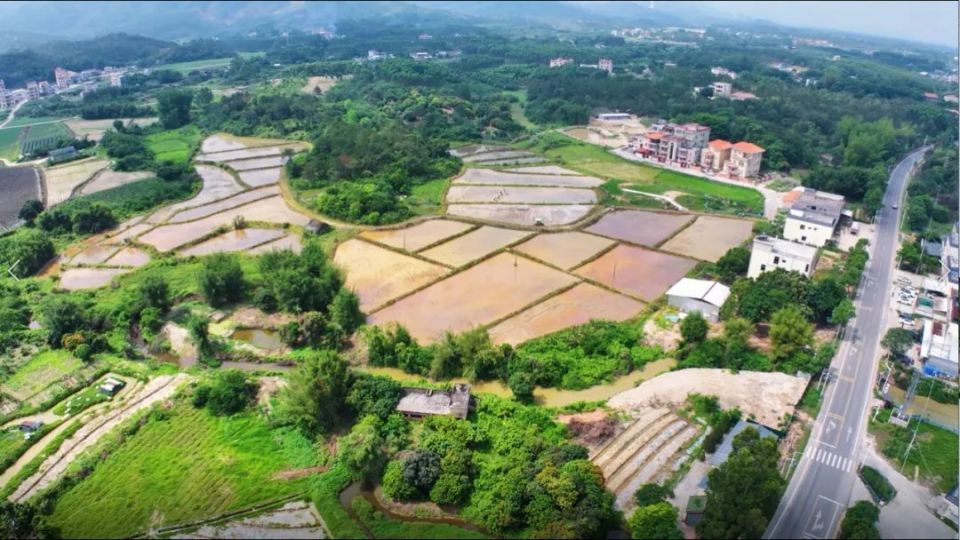 白盆珠镇 | 春耕正当时,不负好春光_腾讯新闻