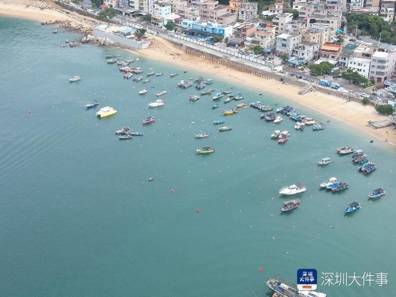 聚焦景区基层治理难点,大鹏探索海上休闲船舶自治管理新模式_腾讯新闻