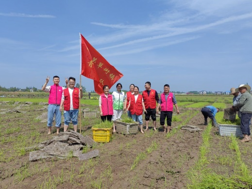 南县茅草街镇不负农时不误春志愿服务助春耕