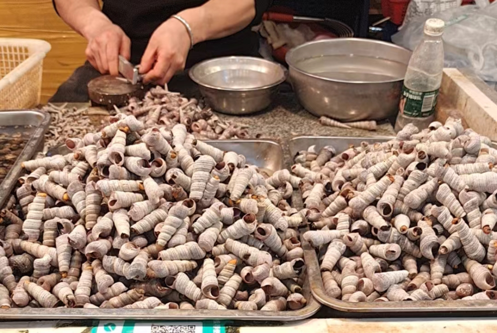 北京城里的一小块温州