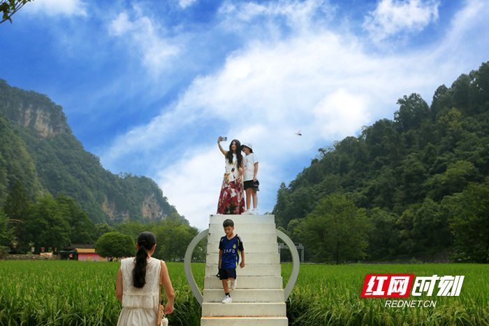 稻浪飘香引客来，黄龙洞景区田园风光受青睐_腾讯新闻