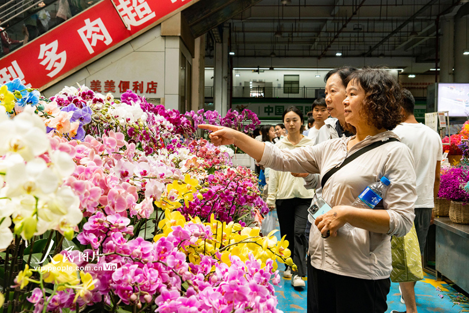 云南昆明:斗南花卉市场人头攒动