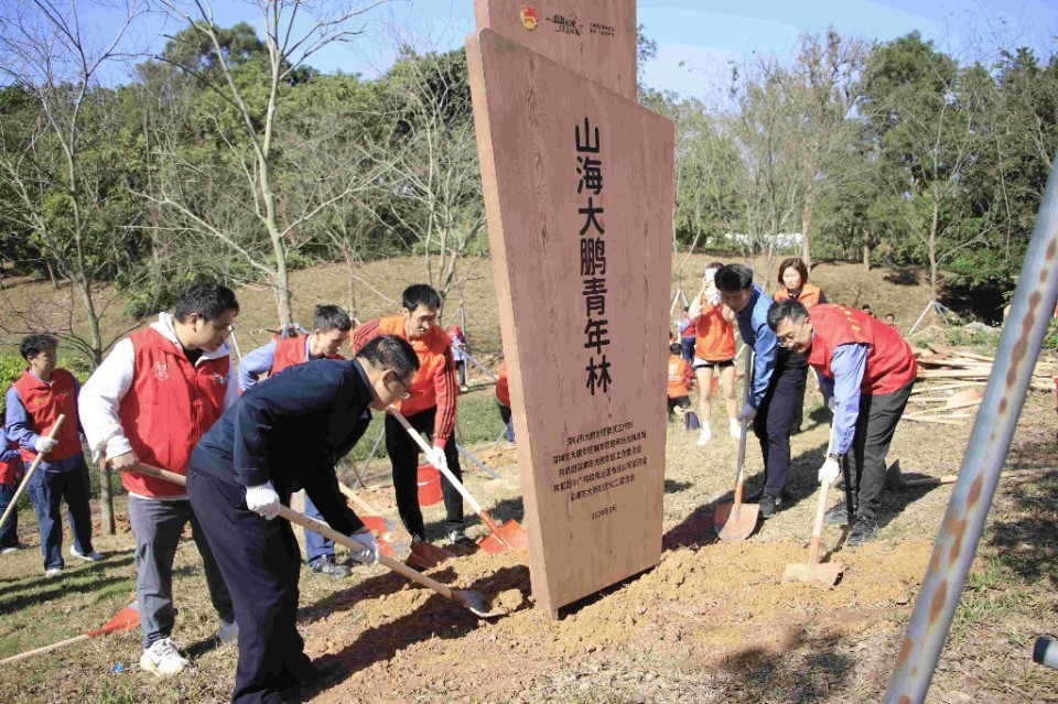 大鹏新区：多举措凝聚青春之力，构建青年发展型城市生态_腾讯新闻