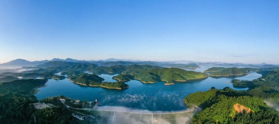 "46113"系列报道丨儋州洋浦:执绿色之笔 绘生态图景