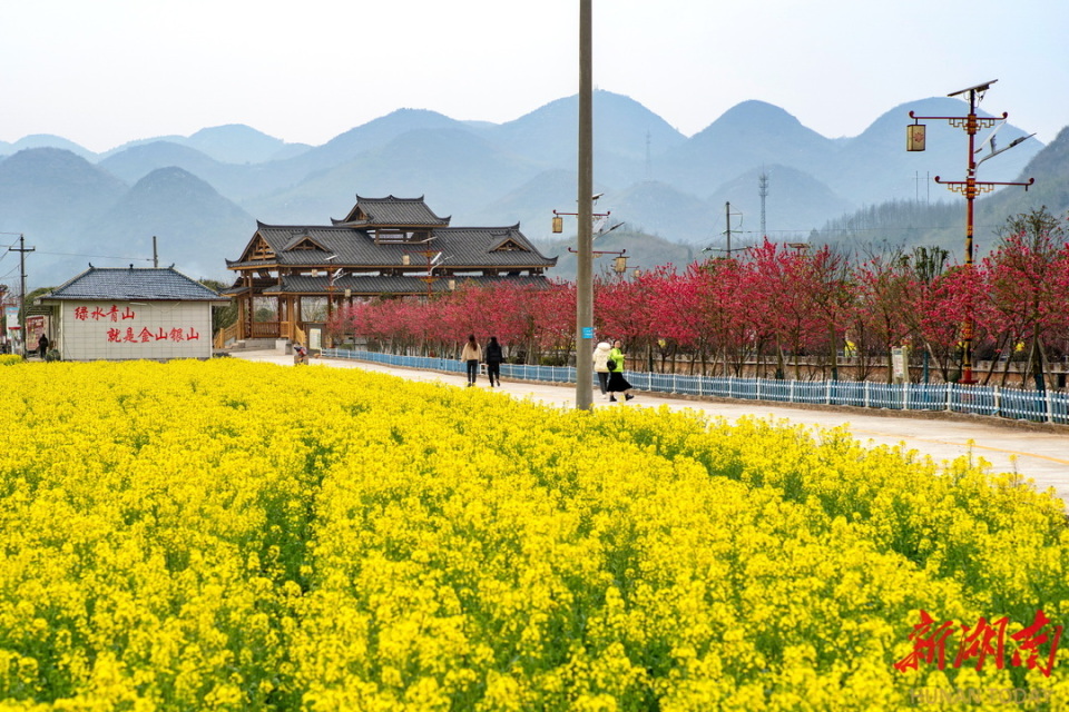 茅坪镇:田畴沃野织锦绣 "农"墨重彩著华章_腾讯新闻