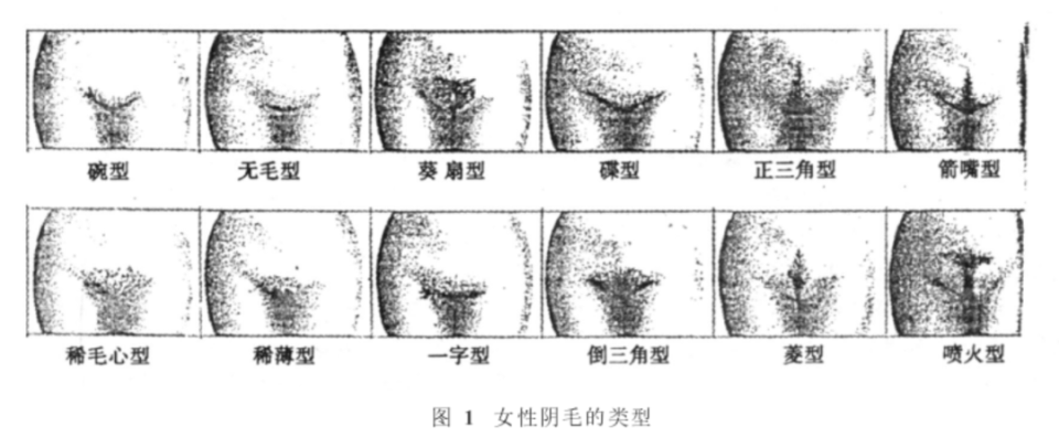 女生私处的毛毛越茂盛,欲望就越强吗?