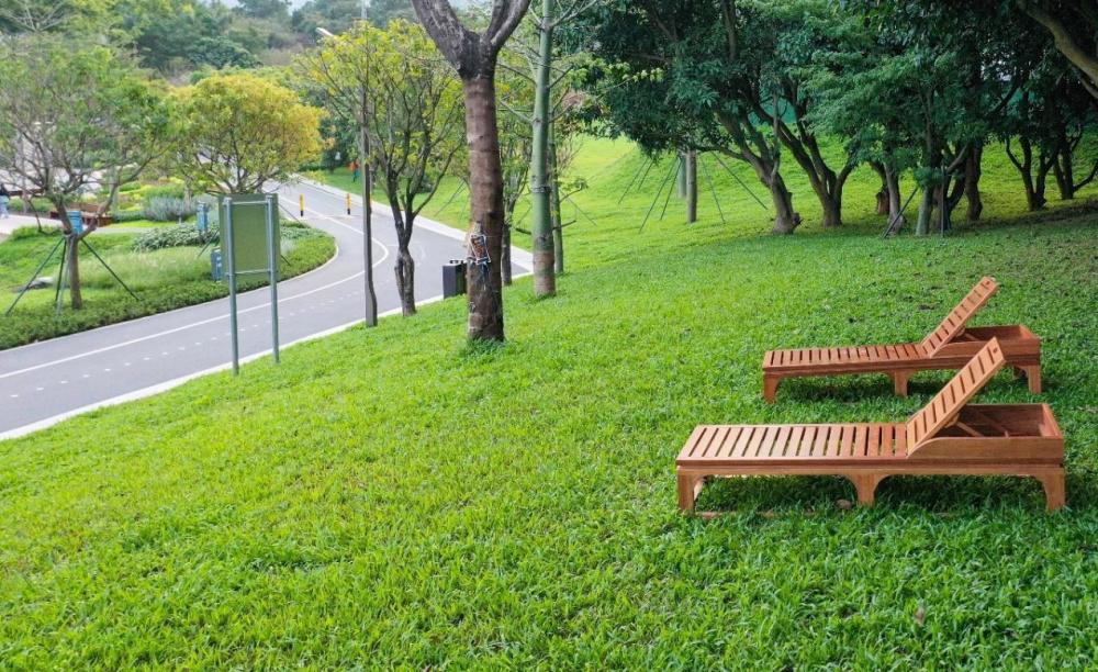 深圳碧岭:逛坪山汤坑水公园,享生态自然之美_腾讯新闻