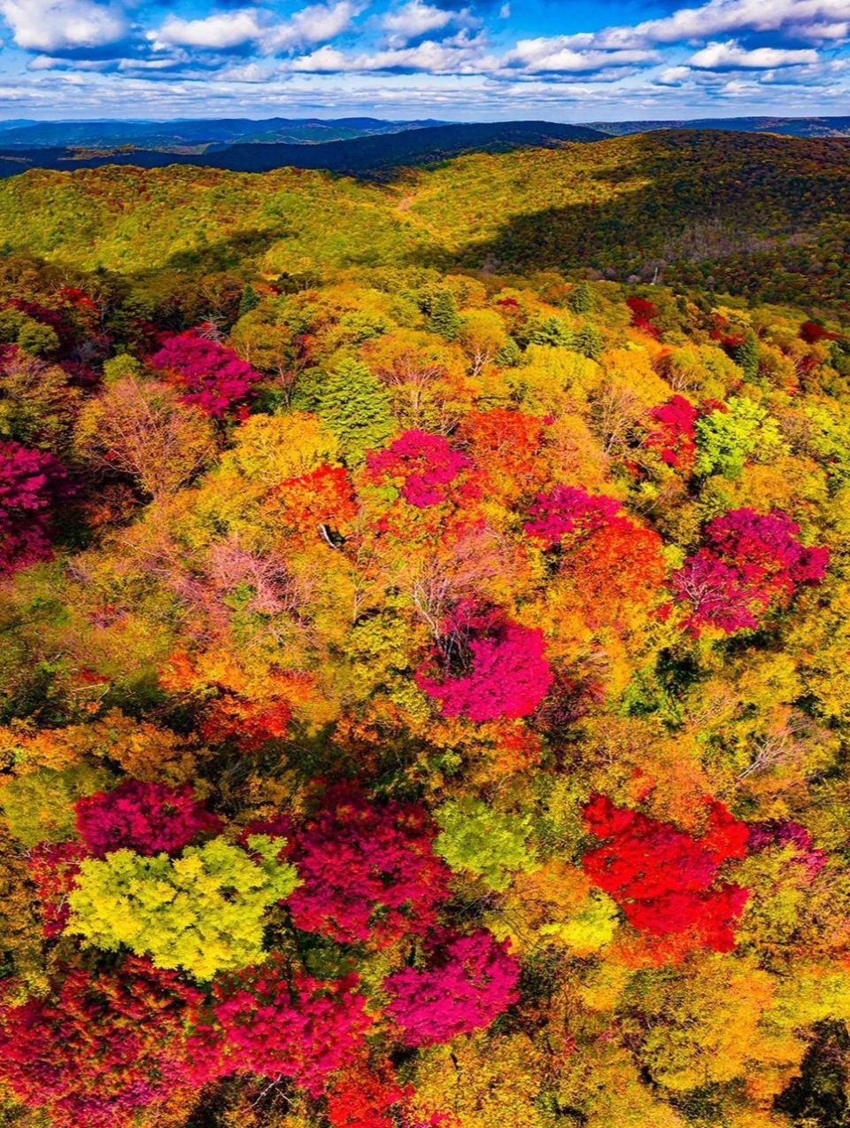 在江源,与春天撞了个满怀_腾讯新闻