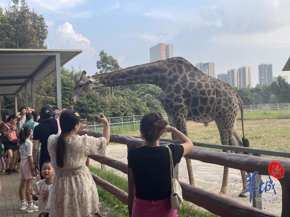 国庆长假近5万人在东莞乐游香市动物园