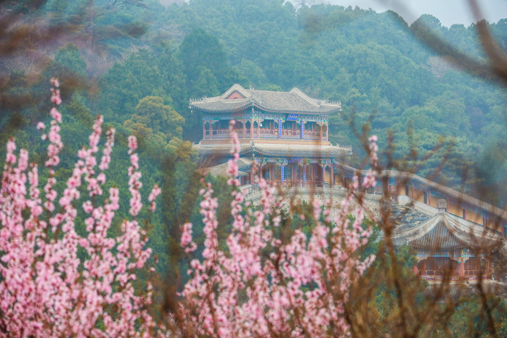 香山公园美景描写图片