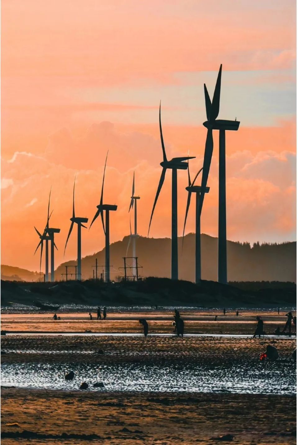 又到一年一度蓝眼泪爆发季!