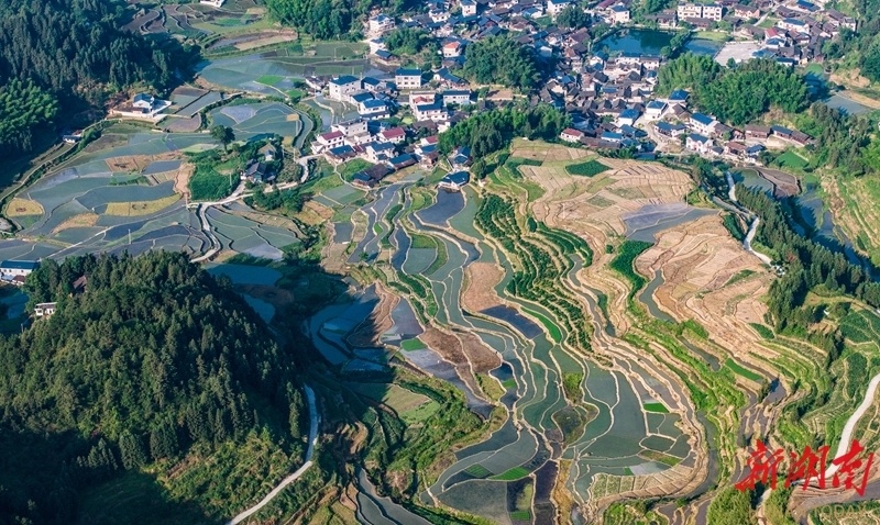 5月29日,中方县铁坡镇江坪村,层层叠叠的梯田与群山,民居交相辉映
