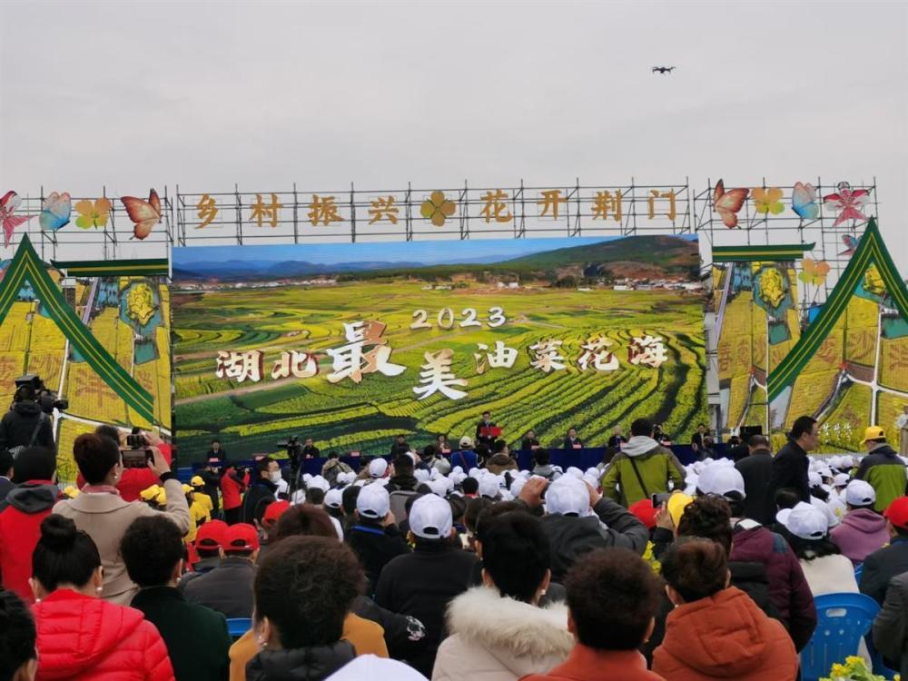 推动美丽颜值转化为经济价值湖北省油菜花节在荆门沙洋开幕