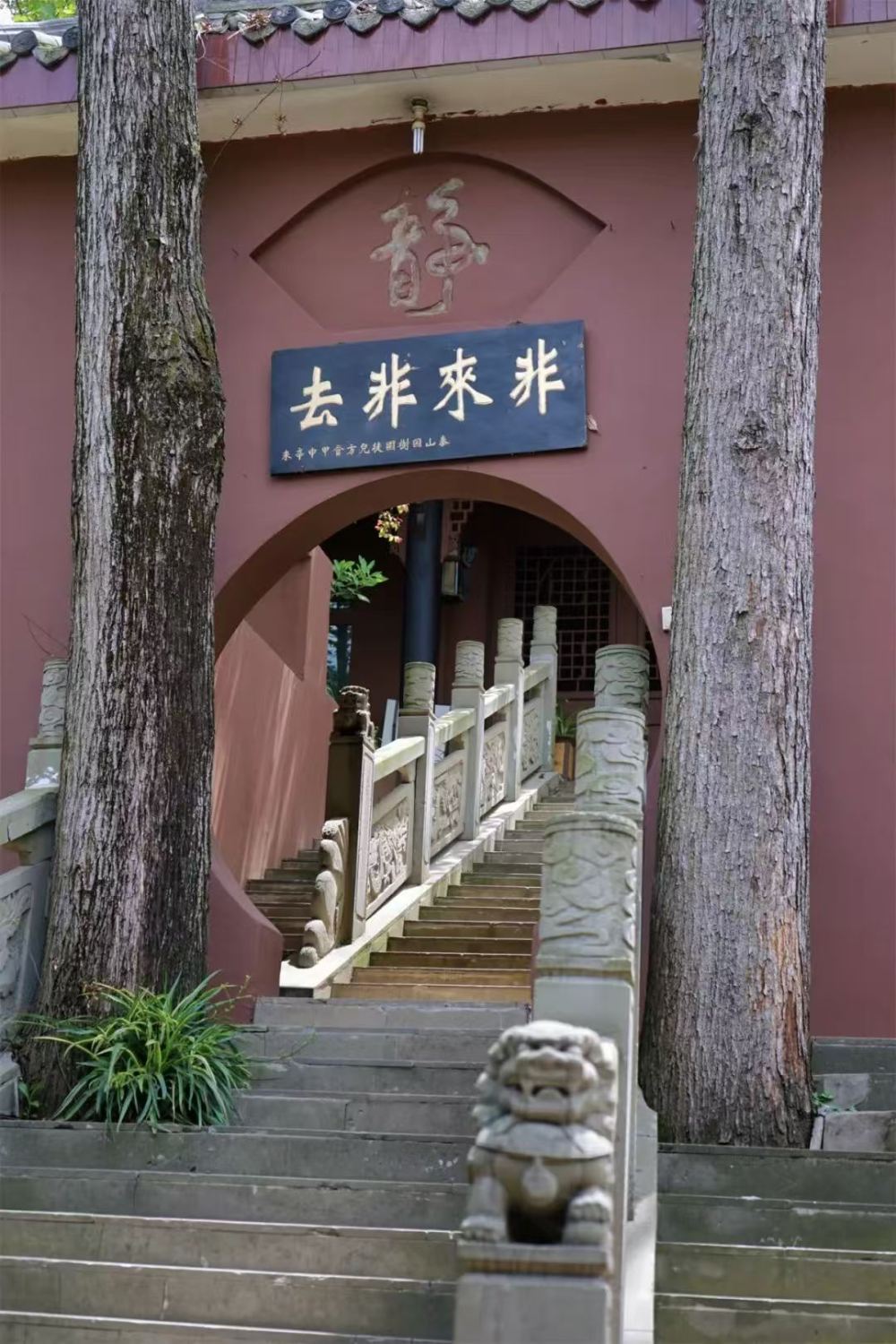 古蜀广都，空港双流——探索成都双流区的千年魅力与现代活力_腾讯新闻