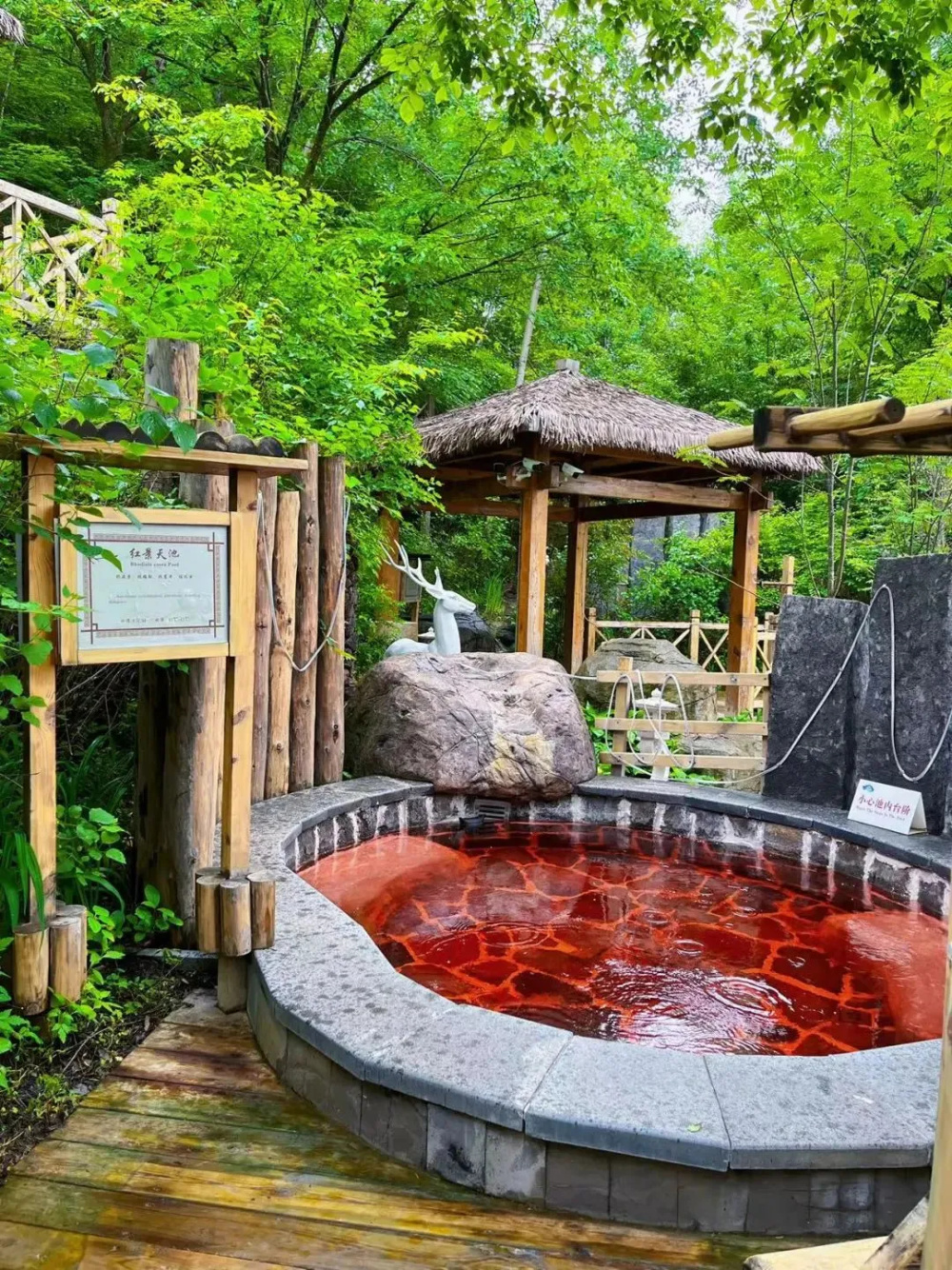 雨04雨04雨04雨04雨!听说,下雨天和泡温泉更配哦