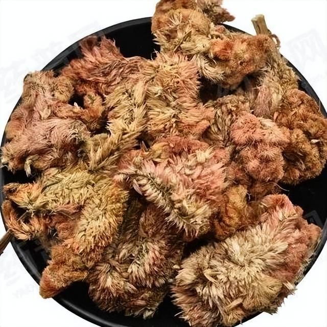 鸡冠花有红,白两种颜色,其性味功效相同,习惯上认为色白者优,色赤者次