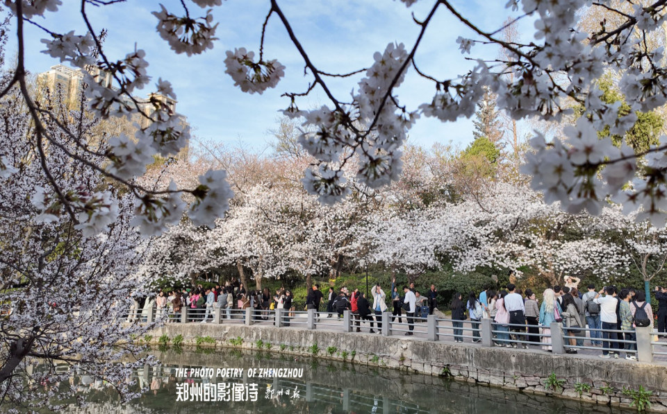 在郑州人民公园,找春天_腾讯新闻