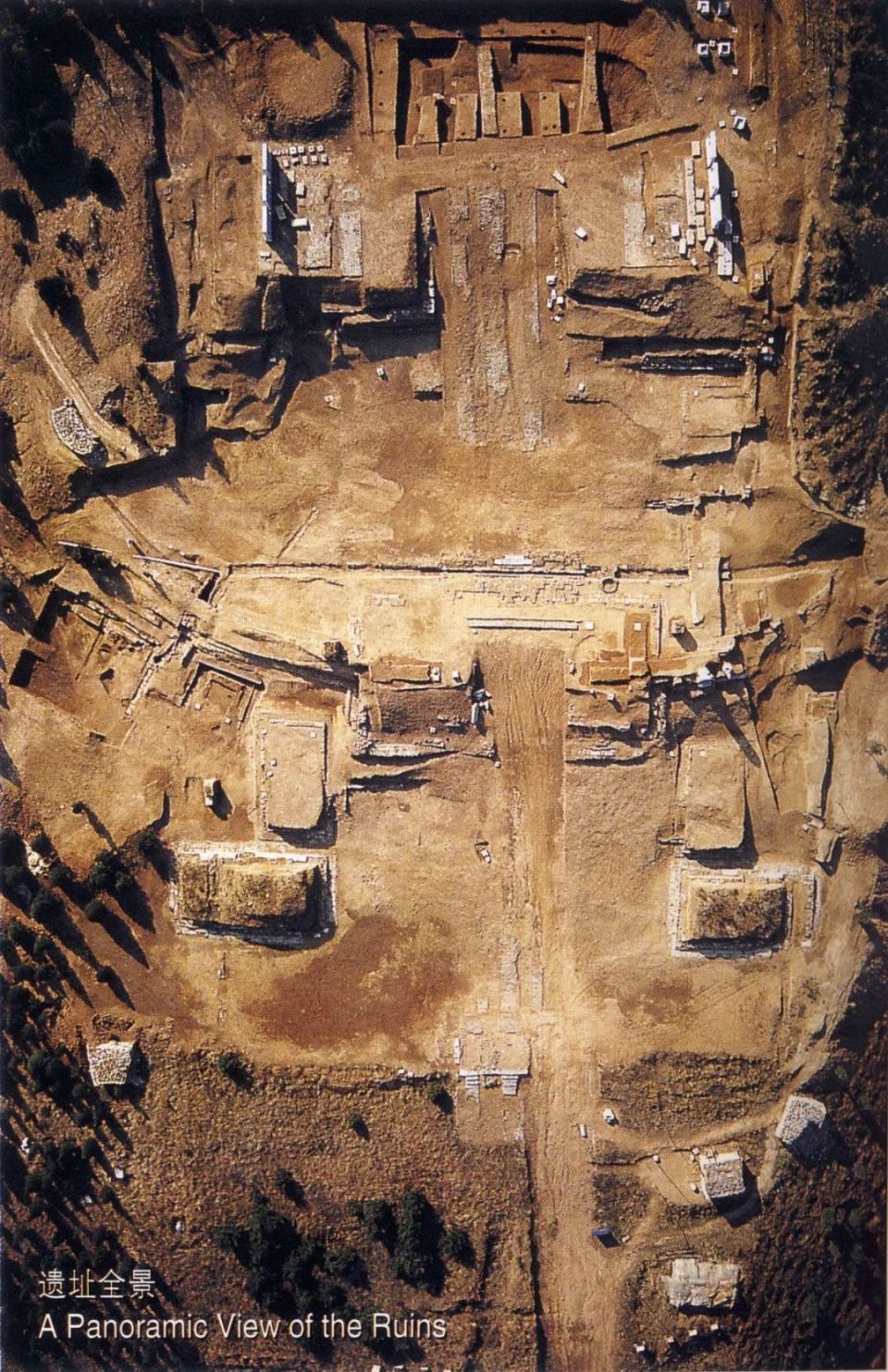 霍宏伟:唐代昭陵两骏石刻解读 | 活动预告