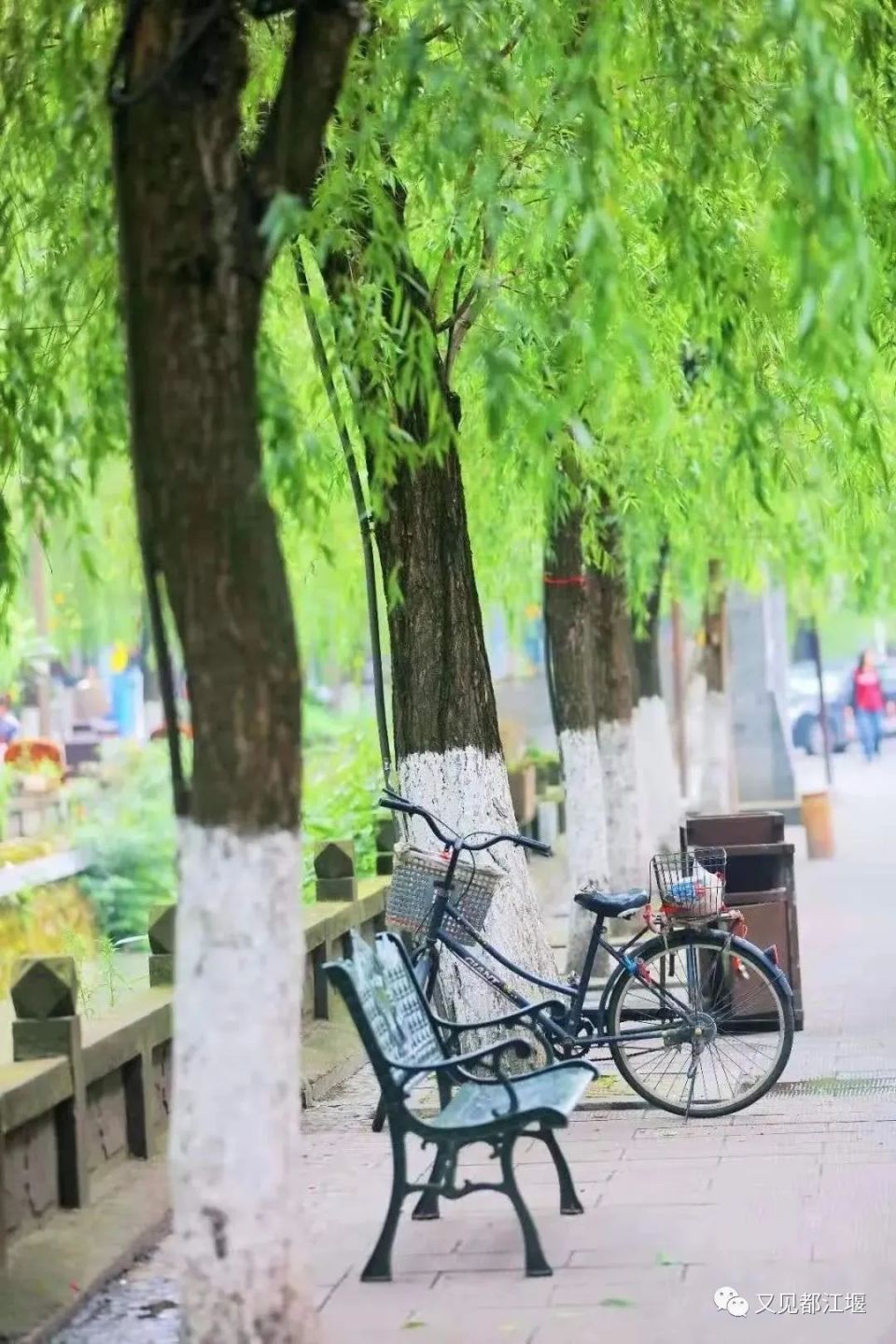 04西街西街全长不到400米,上平下陡,宽不足丈,是历史上"松茂古道"的