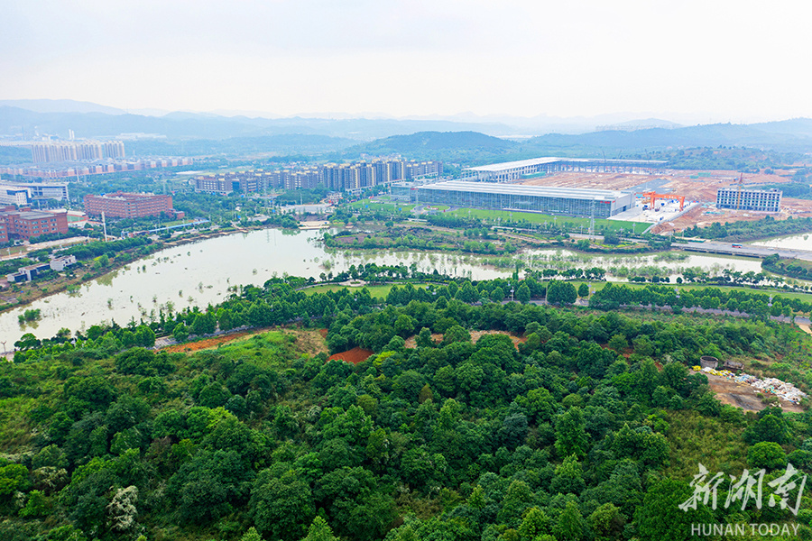 春山青青一树烟,绿水溶溶万点晖,郴州市苏仙区白露塘镇,森林覆盖率达