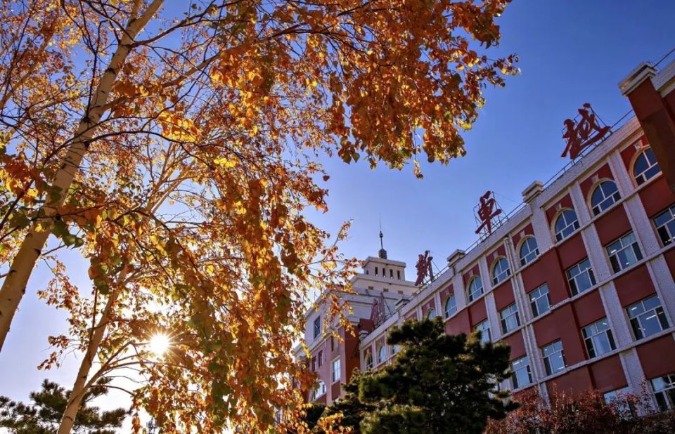 公告丨5月25日松原市实验高级中学2024年"校园开放日"