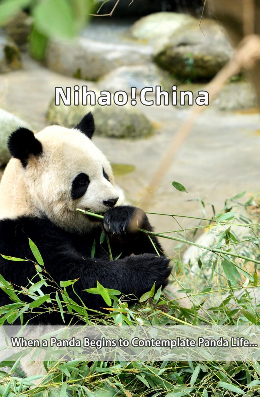 双语你好中国当一只熊猫开始静静地思考熊生