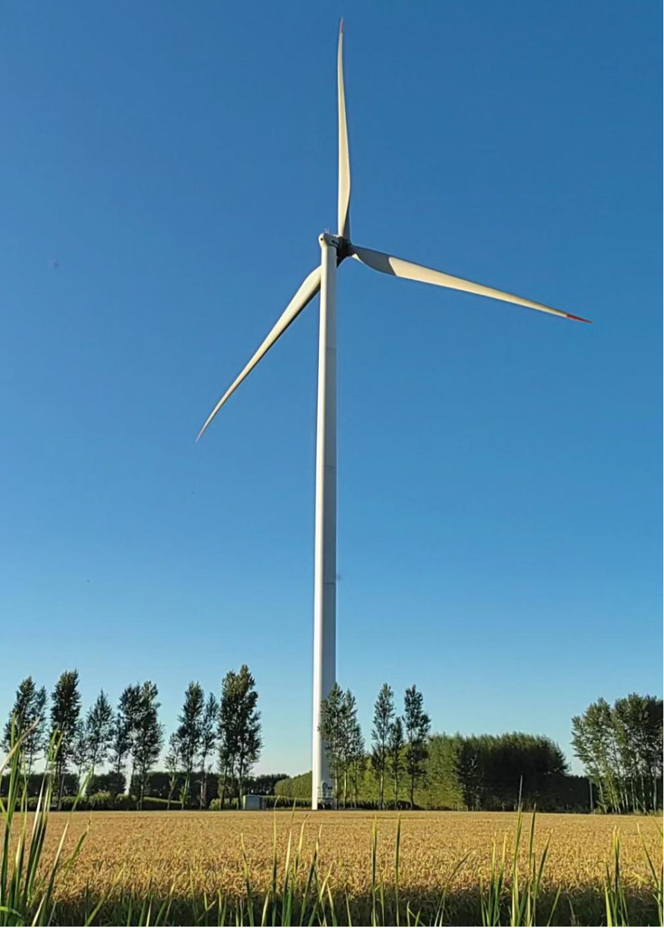 哈电风能:绿色动力助力乡村振兴,驭风而行谱写发展新篇章