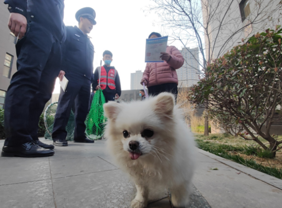 山东菏泽养犬基地图片